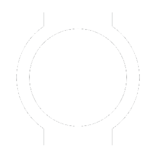 Case Icon
